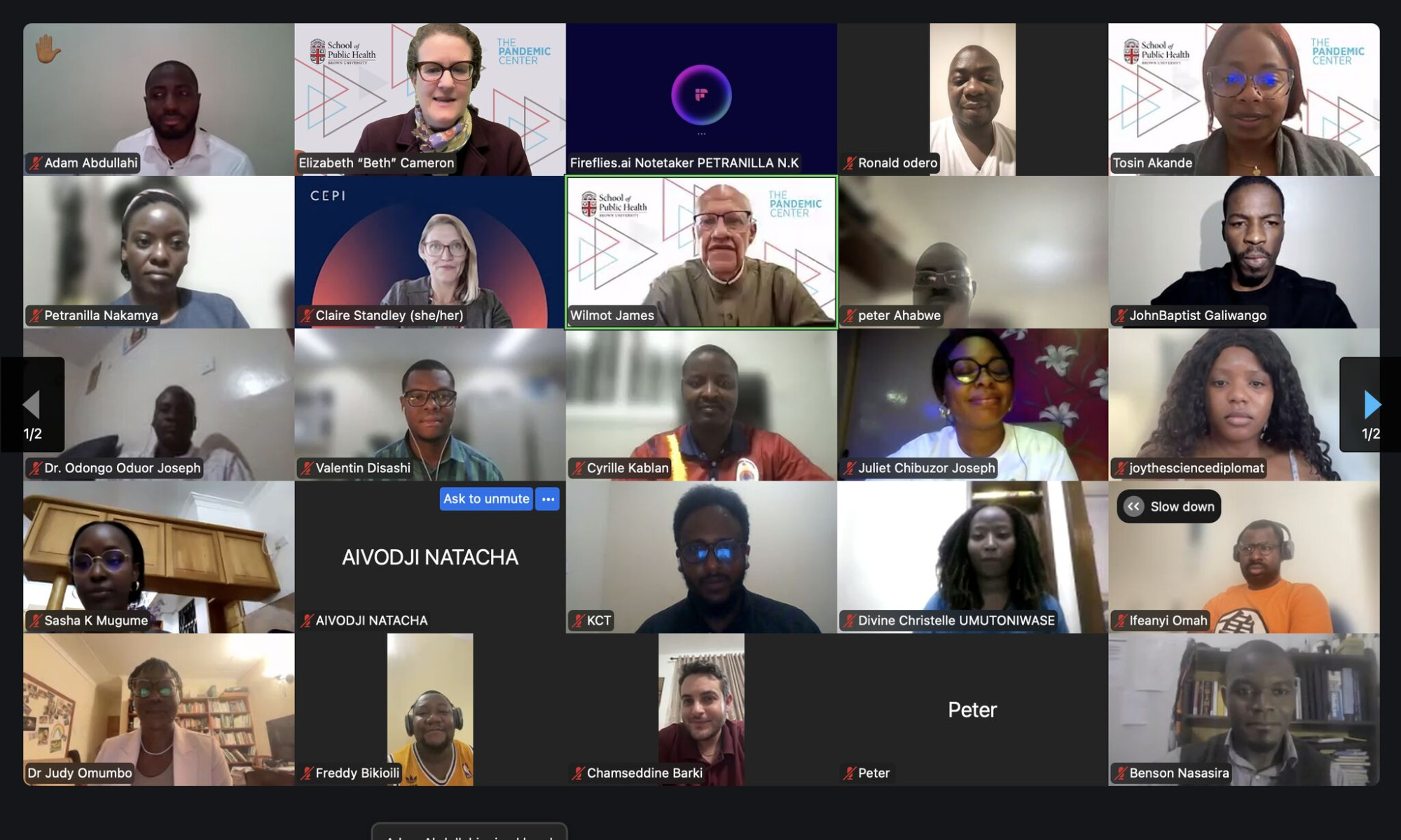 Zoom session with course participants and Pandemic Center affilaites
